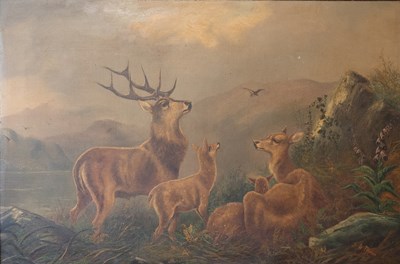 Lot 1081 - John W Morris (1865-1924) Stag, doe and fawns...