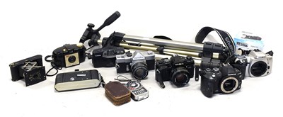 Lot 261 - Various Cameras