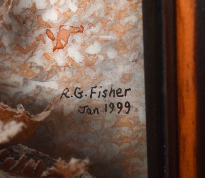 Lot 32 - Taxidermy: A Wall Cased Woodcock (Scolopax...