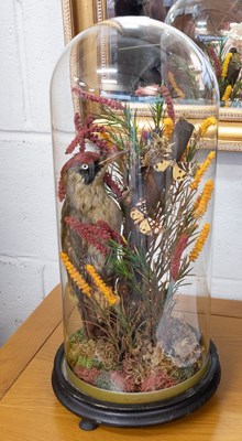 Lot 1190 - Taxidermy: A Late Victorian Green Woodpecker...