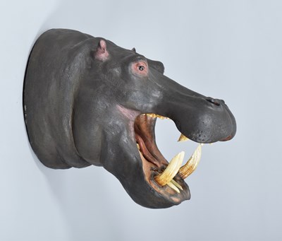 Lot Taxidermy: A Recreation of an African...
