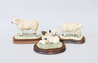 Lot 250 - Border Fine Arts Sheep Groups (3)