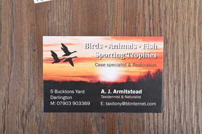 Lot 53 - Taxidermy: A European Brown Hare Head Mount...