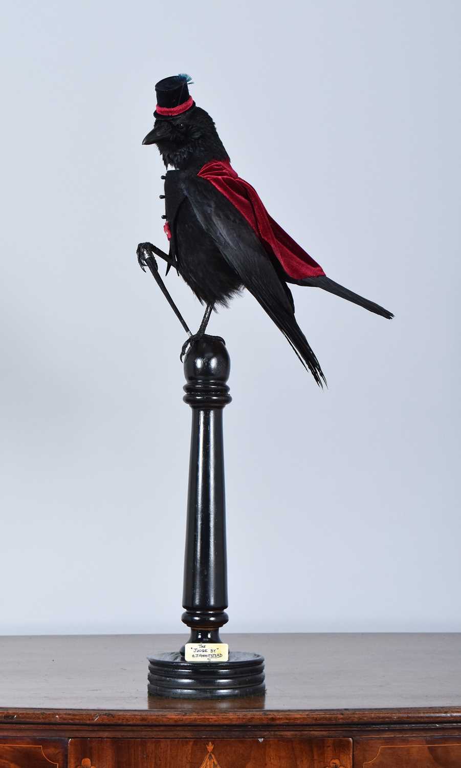 Lot 65 - Anthropomorphic Taxidermy: Carrion Crow "The...