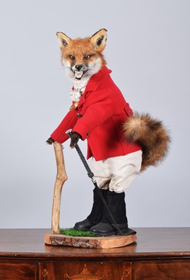 Lot Anthropomorphic Taxidermy: A Red Fox Huntsman...