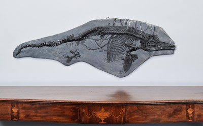 Lot 1290 - Natural History: A Fibreglass Model of an...