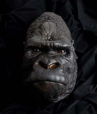 Lot Natural History: An Eastern Gorilla Death Mask...