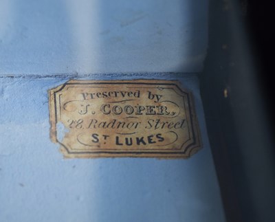 Lot 38 - Taxidermy: A Cased Ruddy Turnstone (Arenaria...