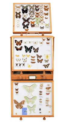 Lot 50 - Entomology: A Collection of World Butterflies,...
