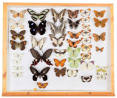 Lot 50 - Entomology: A Collection of World Butterflies,...
