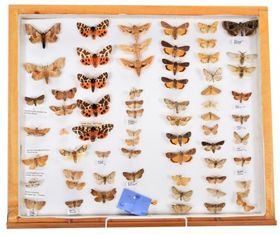 Lot 50 - Entomology: A Collection of World Butterflies,...
