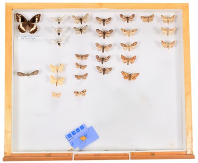 Lot 50 - Entomology: A Collection of World Butterflies,...