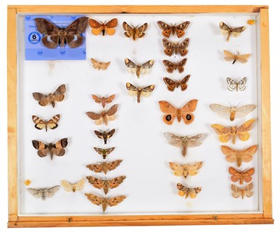 Lot 50 - Entomology: A Collection of World Butterflies,...