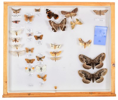 Lot 50 - Entomology: A Collection of World Butterflies,...