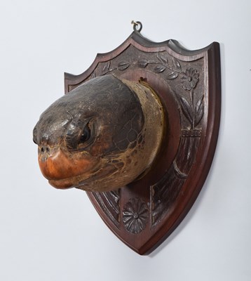 Lot 107 - Taxidermy: A Large Green Sea Turtle Head...