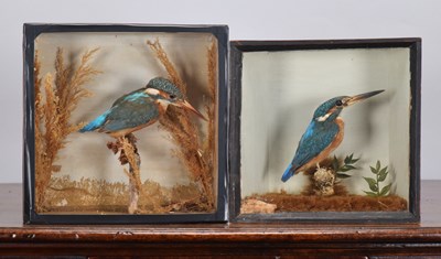 Lot 264 - Taxidermy: Two Late Victorian Cased European...