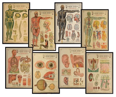 Lot 138 - Elementary Physiology, Hygiene & Ambulance - A Set Of Eight Numbered Posters
