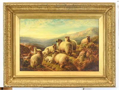 Lot 1056 - Robert Watson (1865-1916) Sheep and lambs on a...