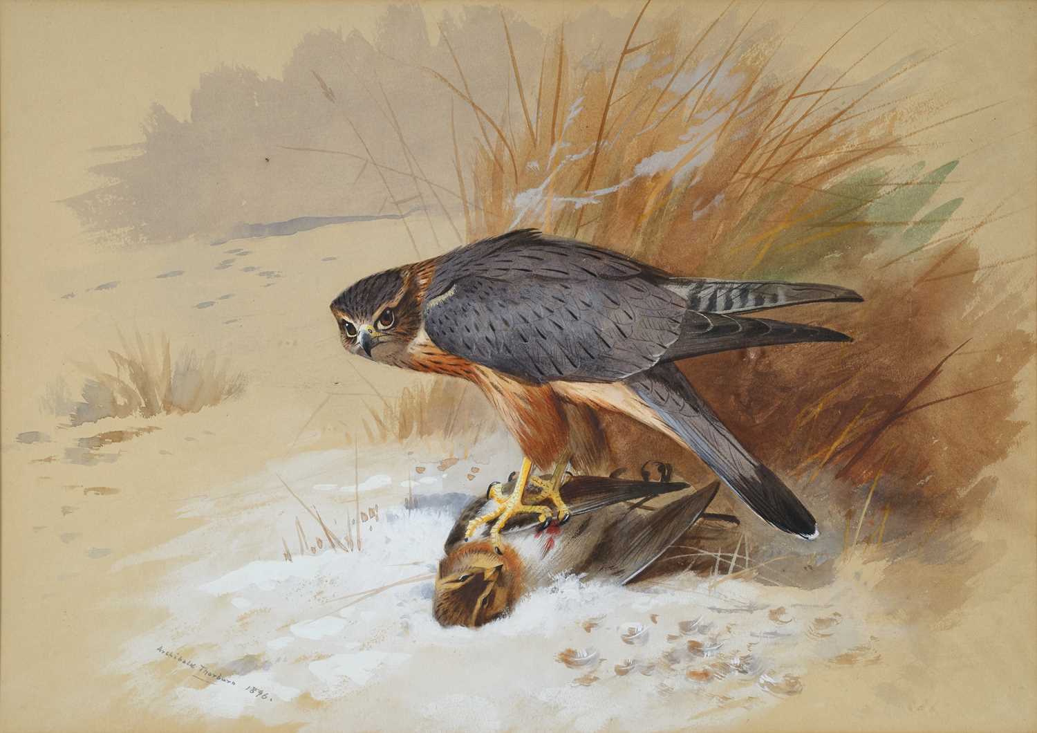 Lot 1035 - Archibald Thorburn FZS (1860-1935) Scottish...