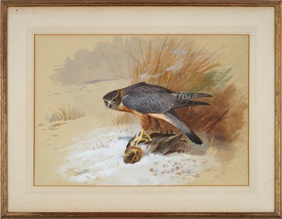 Lot 1035 - Archibald Thorburn FZS (1860-1935) Scottish...