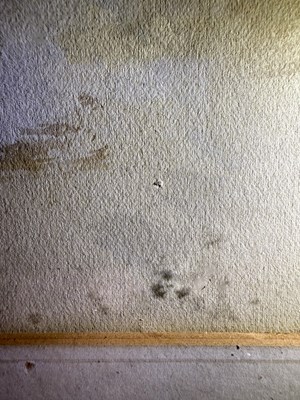 Lot 1035 - Archibald Thorburn FZS (1860-1935) Scottish...