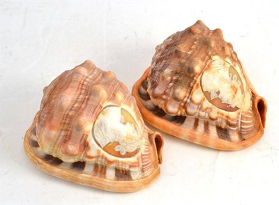 Lot 280 - Pair of cameo shells