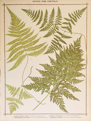 Lot 2114 - Heath (Francis George). The Fern Portfolio....