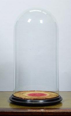 Lot 149 - Glass Dome: A Large Period Circular Glass Dome,...