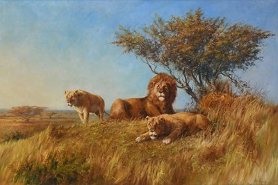 Lot 390 - Alan Fearnley (b.1942) Lion and Lionesses on...