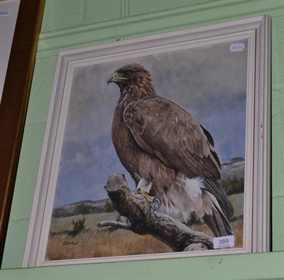 Lot 389 - Framed watercolour of a Golden Eagle, signed A M Hunt. 1976 (dated to reverse)