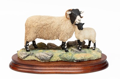 Lot 51 - Border Fine Arts 'Swaledale Ewe and Lamb',...