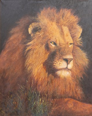 Lot 1074 - Brian Needham (1936/7-2006) Lion Signed, oil...