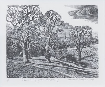 Lot 1041 - Howard Phipps (b. 1954) "Salisbury from...