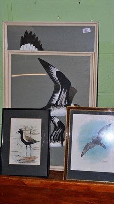 Lot 404 - Framed watercolour 'Falco Cherrug' by A M Hunt; and three other watercolours of birds (4)