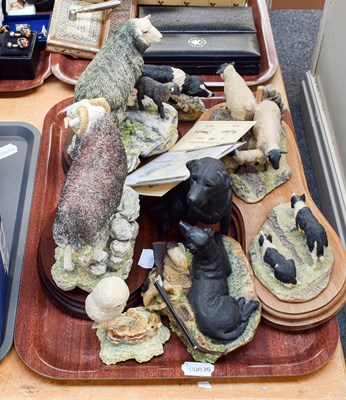 Lot 251 - Border Fine Arts 'Herdwick Tup', model No....