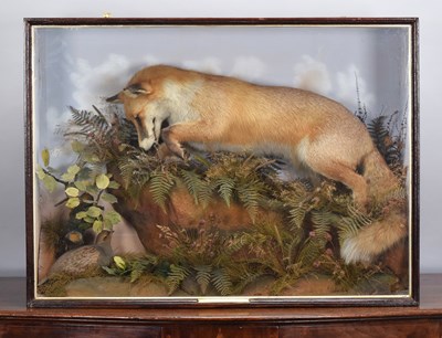 Lot 55 - Taxidermy: An Edwardian Cased Red Fox (Vulpes...