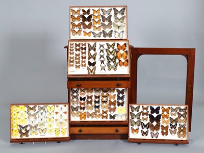 Lot 85 - Lepidoptera/Entomology: A Cased Collection of...