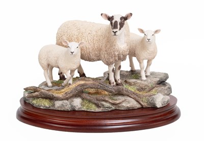 Lot Border Fine Arts 'Mule Ewe and Texel Lambs',...