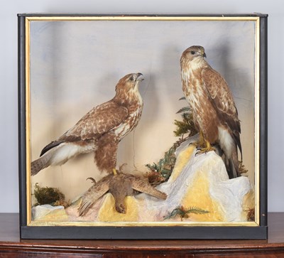 Lot 97 - Taxidermy: A Late Victorian Cased Pair of...