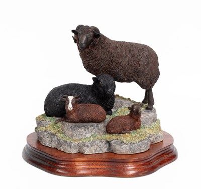 Lot 45 - Border Fine Arts 'Shetland Sheep Family Group'...