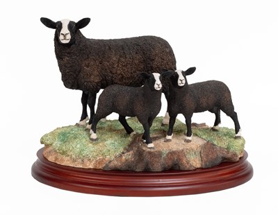 Lot Border Fine Arts 'Zwartble Ewe and Lambs',...