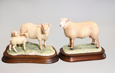 Lot 32 - Border Fine Arts 'Charolais Ram', model No....