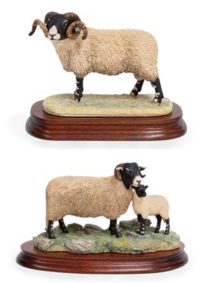Lot 52 - Border Fine Arts 'Swaledale Ewe and Lamb',...