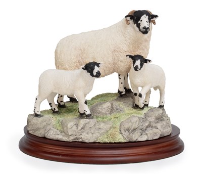 Lot Border Fine Arts 'Rough Fell Ewe and Lambs',...