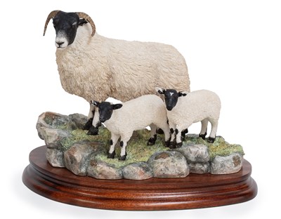 Lot 27 - Border Fine Arts 'Blackie Ewe and Lambs',...