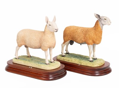 Lot 31 - Border Fine Arts 'Border Leicester Tup', model...