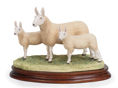 Lot 29 - Border Fine Arts 'Border Leicester Ewe & Lambs'...