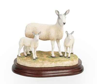Lot 28 - Border Fine Arts 'Blue Faced Leicester Ewe and...