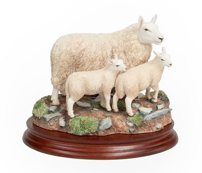 Lot 33 - Border Fine Arts 'Cheviot Ewe and Lambs',...