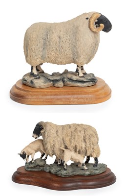 Lot 26 - Border Fine Arts 'Blackfaced Ewe and Lambs'...